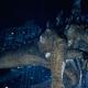 Godzilla roaming the now-empty streets of New York.